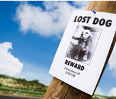 The BEST  listings near amagansett-bridgehampton-east-hampton-montauk-north-haven-noyac-sagaponack-sag-harbor-eastern-southampton-springs-wainscott-water-mill-and-new-york-city